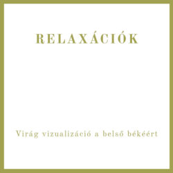 4 - RELAXÁCIÓK